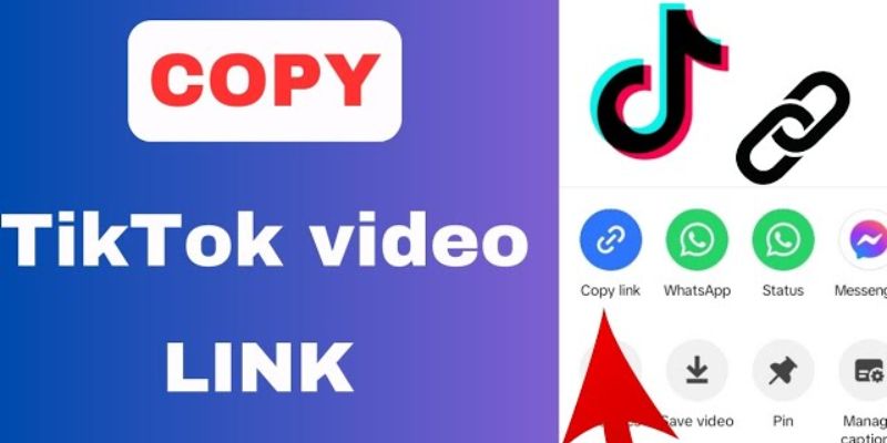 Copy link video 