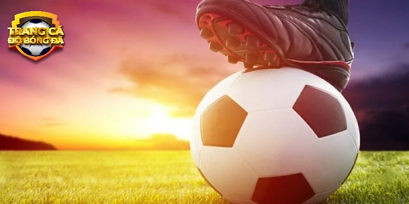 ca-do-bong-da-thu-hut-nguoi-choi