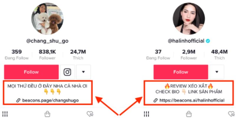 cong-cu-tao-nhieu-link-trong-profile-tiktok-ca-nhan