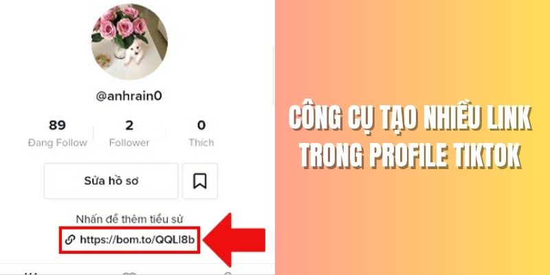 Công Cụ Tạo Nhiều Link Trong Profile TikTok Miễn Phí