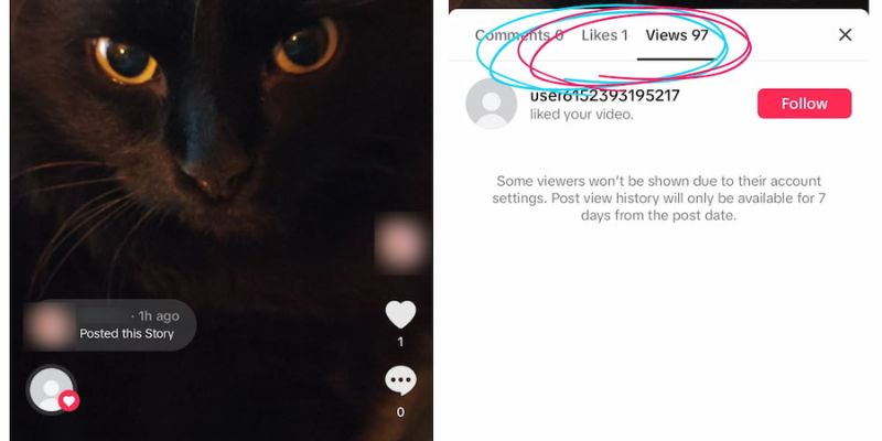 tiktok-story-viewer-qoob-clips